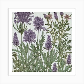 Lavender Art Print