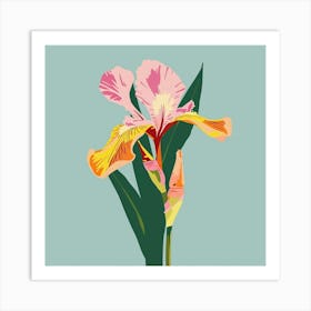 Iris 2 Square Flower Illustration Art Print