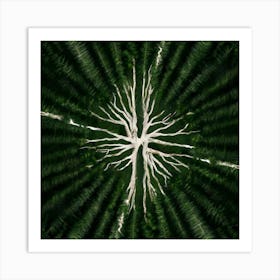 Fractal Forest Art Print