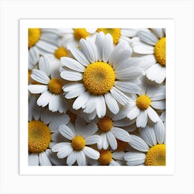 Close Up Of Daisies Art Print