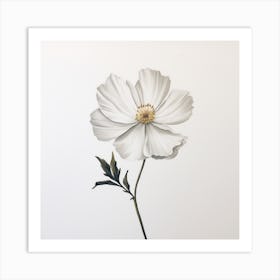 White Anemone Art Print