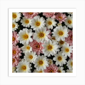 Dahlias Art Print