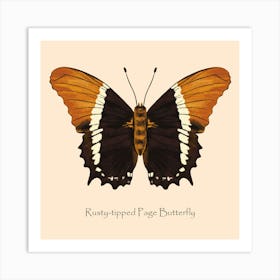 Butterfly Rusty Tipped Art Print