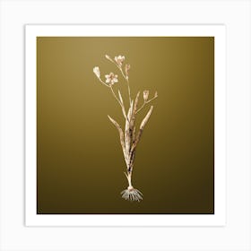 Gold Botanical Ixia Bulbifera on Dune Yellow n.0761 Art Print