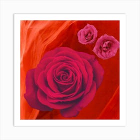 Roses 1 Art Print