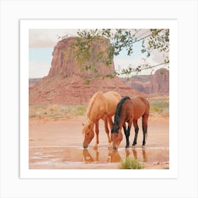 Desert Wild Horses Art Print