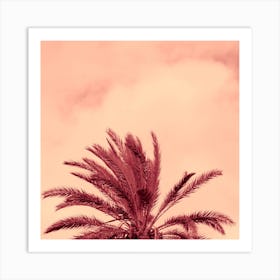 Half Palm Tree Nature Square Photo Beige Coral Terracotta Vintage Retro Art Print