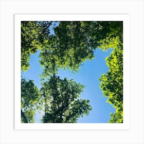 Sky Above Trees Art Print