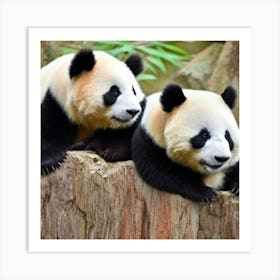 Cute China Panda Bears Adeline Yeo Art Print