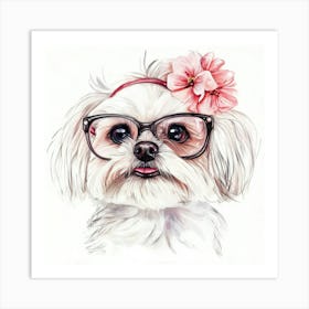 Shih Tzu 17 Art Print