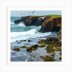 Cliffs And Seagulls Art Print