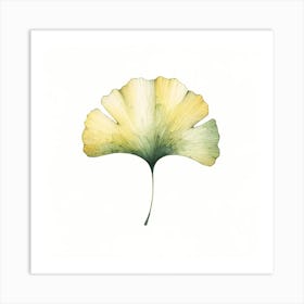 Ginkgo Leaf Canvas Print Art Print