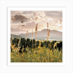 Northern New Mexico Wilderness Art Print