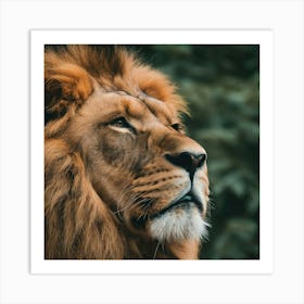 Majestic Gaze of the King of the Jungle Art Print