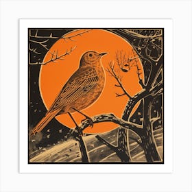 Retro Bird Lithograph Hermit Thrush 3 Art Print