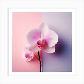 Flower of Orchid 2 Art Print