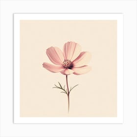 Cosmos Flower Art Print