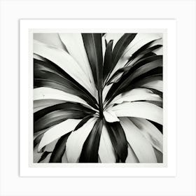 Black And White Leaf Art Print