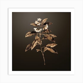 Gold Botanical Sweet Pittosporum Branch on Chocolate Brown n.3890 Art Print