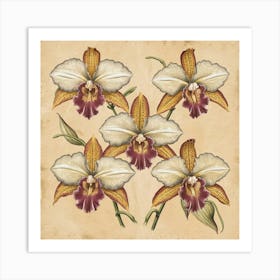 Orchids 3 A stunning illustration featuring vintage orchids. Each orchid is intricately detailed, showcasing the delicate petals,vibrant colors, and intricate patterns that make them unique. Art Print