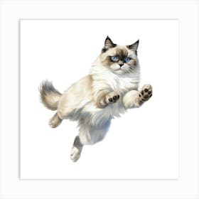 Siamese Cat 3 Art Print