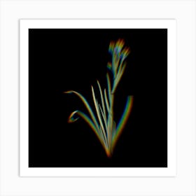 Prism Shift Bermudiana Botanical Illustration on Black n.0105 Art Print