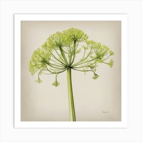 Ivy fennel Canvas Print flower plants painting art print Art Print