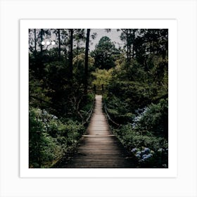 Bridge In The Woods Art Print