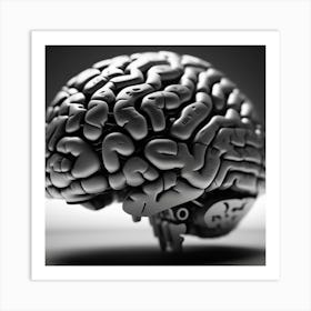 Human Brain 17 Art Print