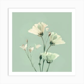 White Flowers Art Print