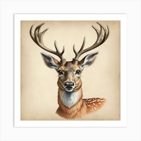 Deer Head 29 Art Print