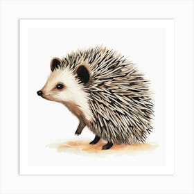 Hedgehog Art Print