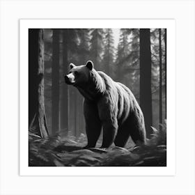 Black Bear In The Forest 2 Art Print