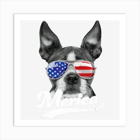 Hot Trend Boston Terrier Sunglasses Usa American Flag Art Print