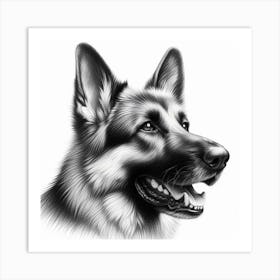 Pencil Drawing of A German Shepherd Dog Art Print
