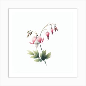 Dicentra Art Print