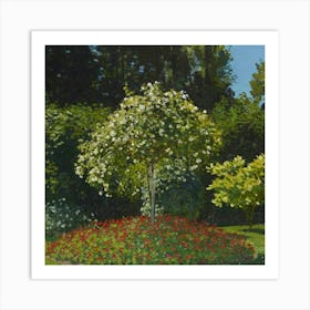 Roses In The Garden 1 Art Print