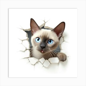 Siamese Cat 2 Art Print