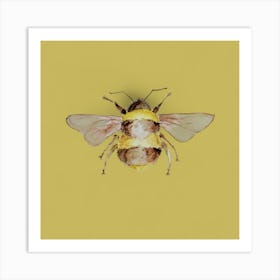 Yellow Bumble Bee Art Print