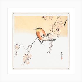 Songbird And Blossoming Cherry (Ca Art Print