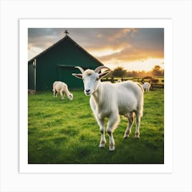 Goats In The Field At Sunset Art Print