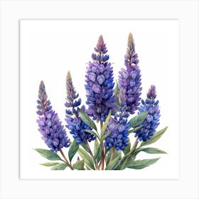 Lupine 7 Affiche