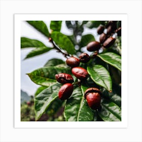 Coffee Beans On A Tree 34 Art Print