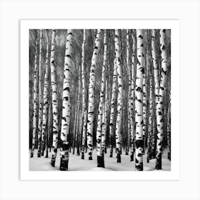 Birch Trees In Winter 2 Art Print