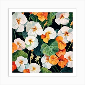 Nasturtium 6 Art Print