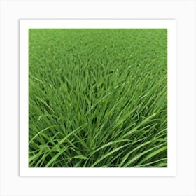 Green Grass 17 Art Print