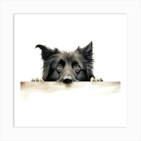 Border Collie 4 Art Print