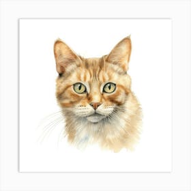 Mekong Bobtail Cat Portrait 2 Art Print