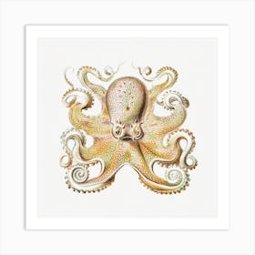 Vintage Octopus Marine Life Illustration Art Print