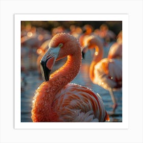Flamingos 13 Art Print